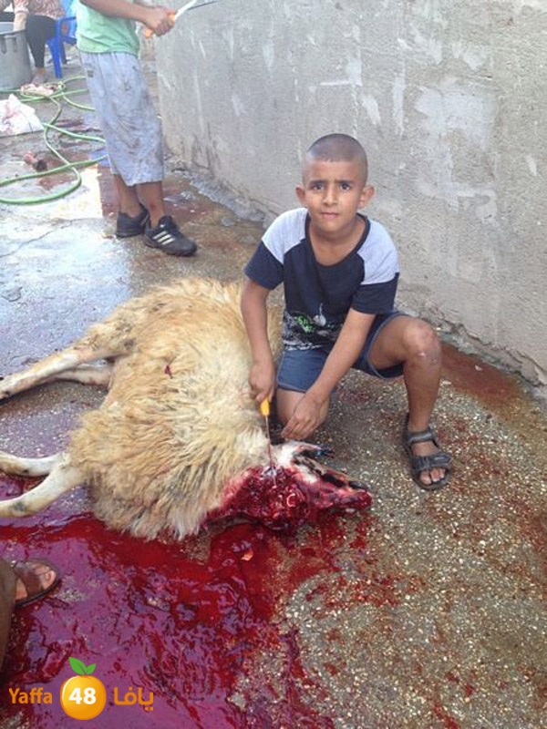 dabe7 ludj31 (63).jpg